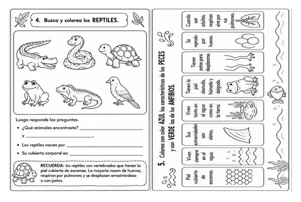 Actividades animales vertebrados 