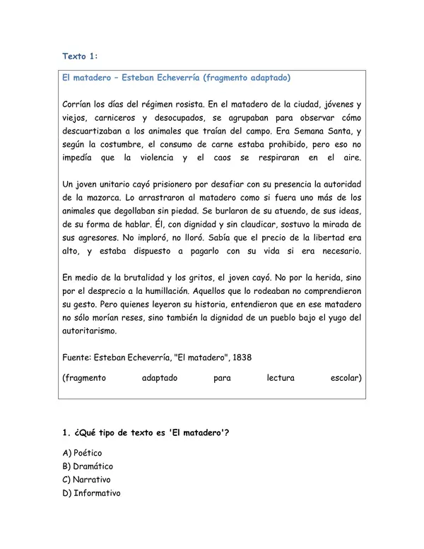 ENSAYO SIMCE 1