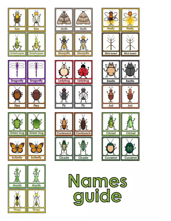 Task Cards Insects Animals Color Cut Coloring