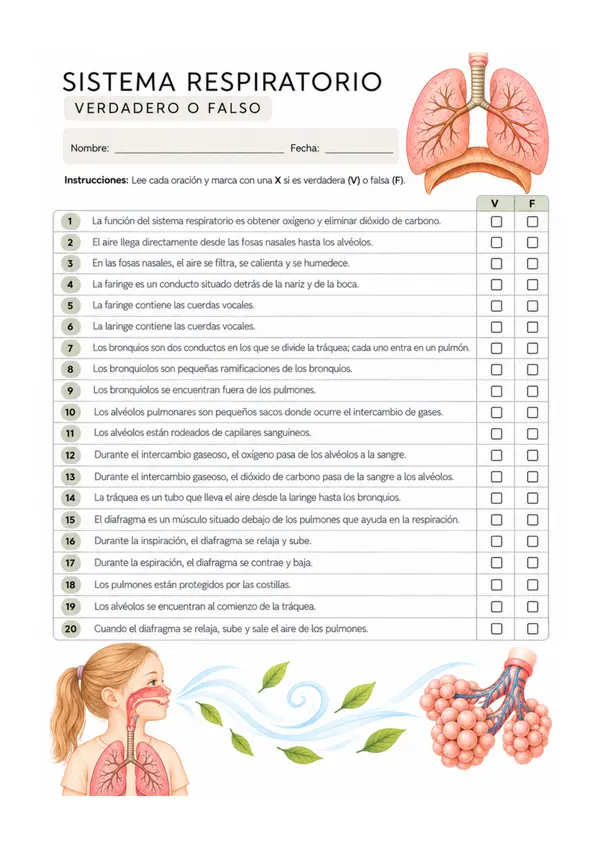 Sistema respiratorio – Verdadero o falso | Ciencias Naturales