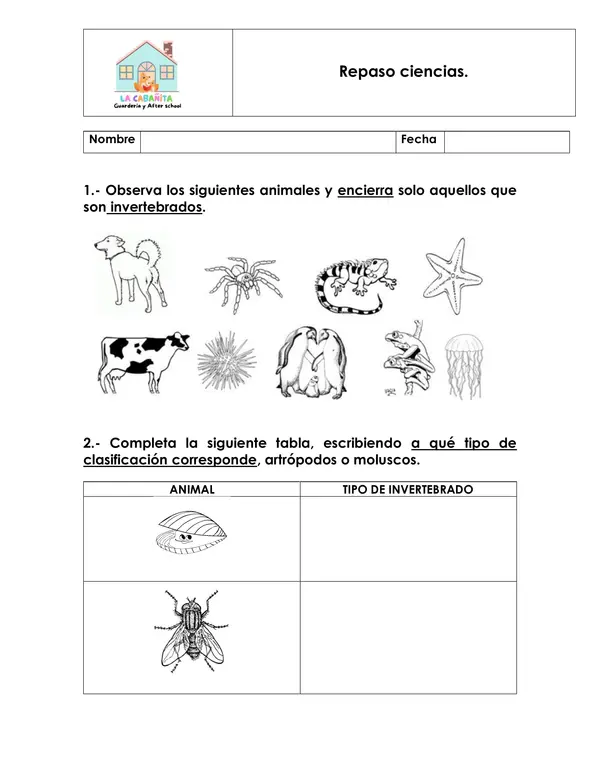 Prueba ciencias ciclo de la vida, tipo de animales