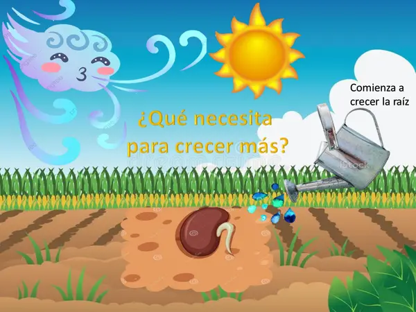 Ciclo de vida de las plantas