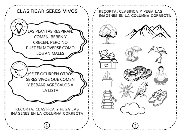 Seres vivos y cosas no vivas