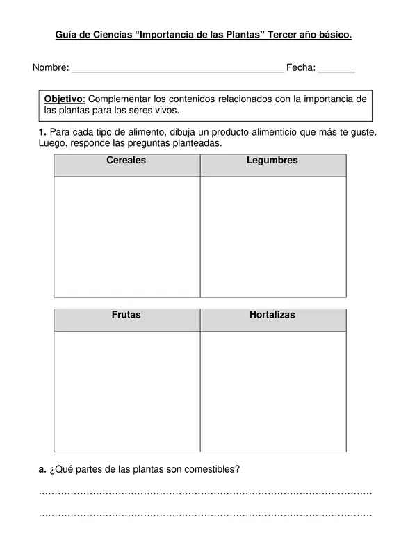 Guía de ciencias "Importancia de las plantas" tercer año.