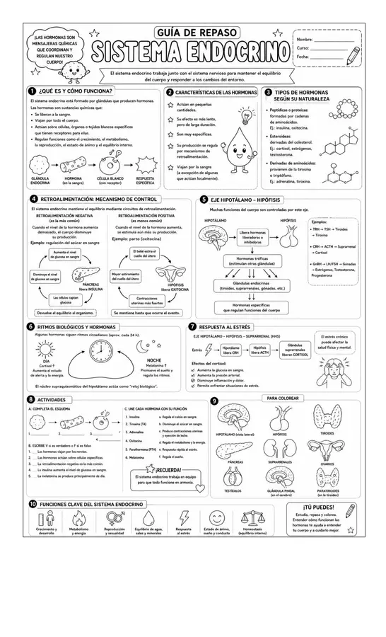 Guia Sistema Endocrino 
