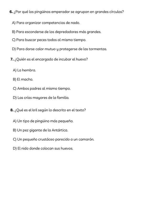 Ensayo SIMCE Lectura cuarto básico