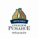 OctavoC Pumahue - @octavoc.pumahue