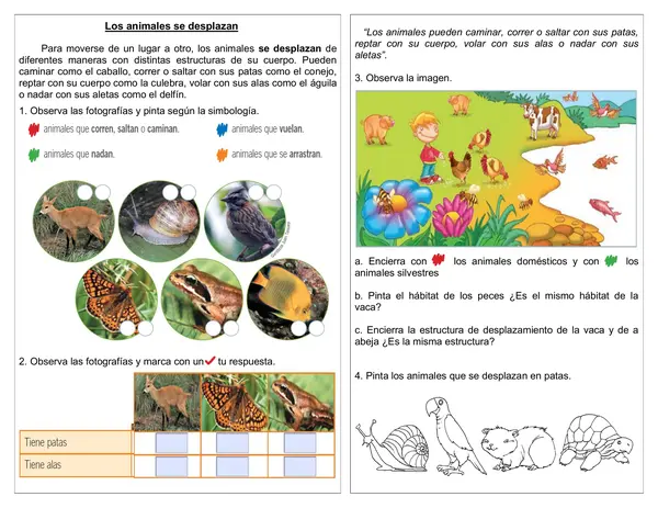 Guía de ciencias 1°año "Los animales se desplazan"