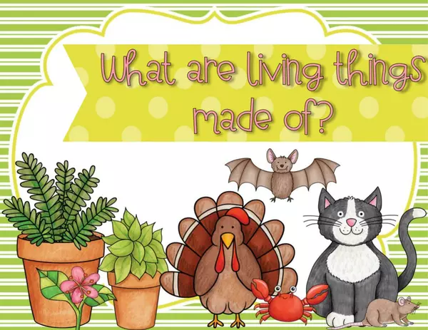 What are living things made of? The cell digital study guide