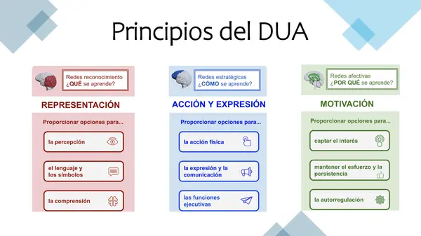 DUA Diseño Universal para el Aprendizaje