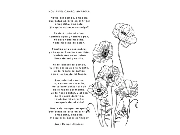 POEMA (genéro lírico)