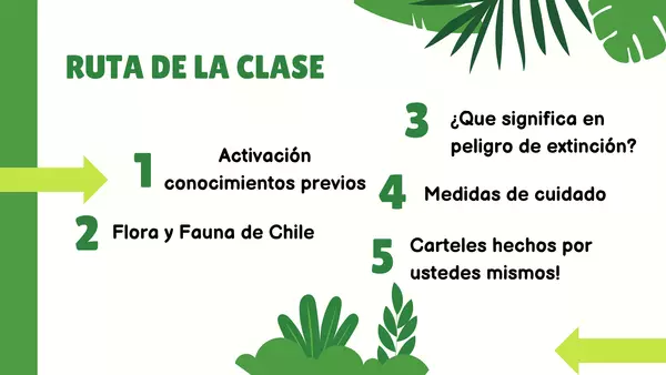 Flora y Fauna de Chile 1°Básico