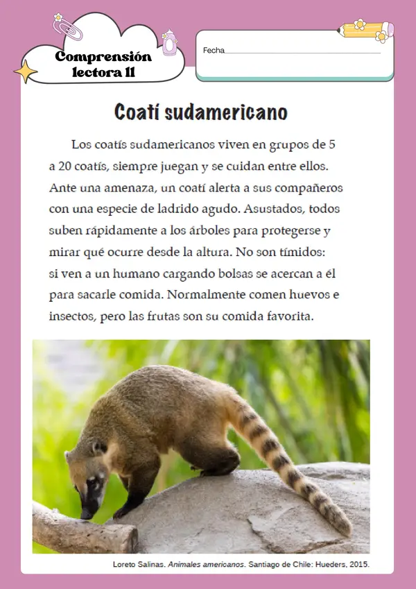 Lecturas tipo simce 2°