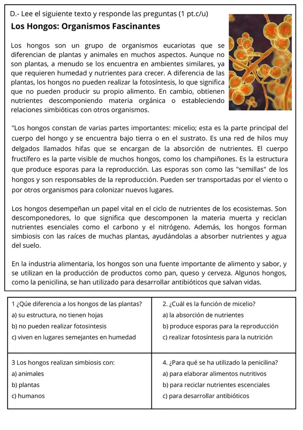 Evaluación Microorganismos Ciencias Naturales