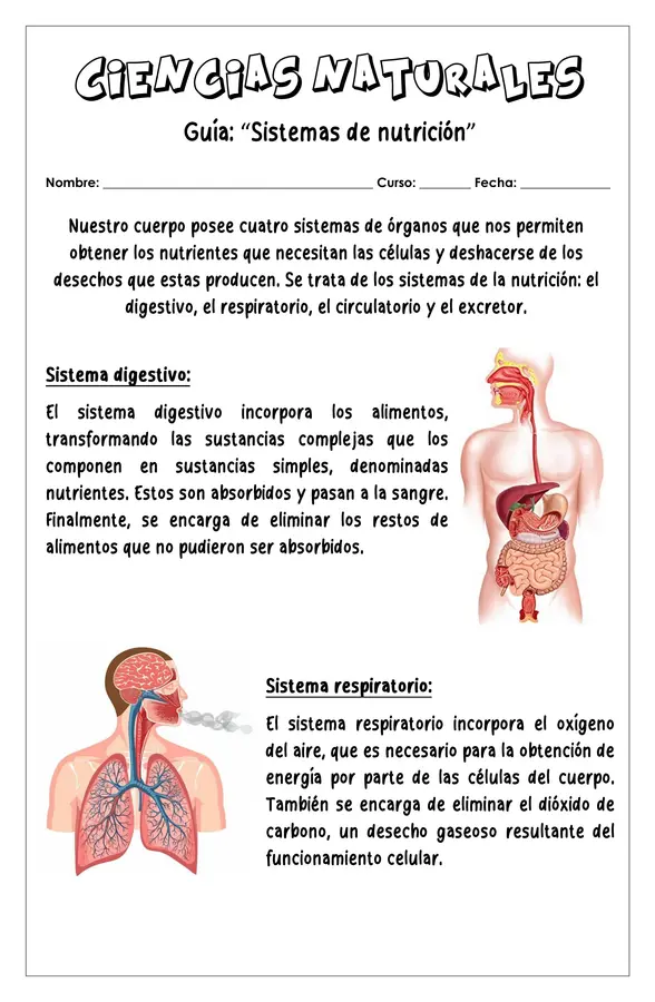 Guía -  Sistemas de nutrición