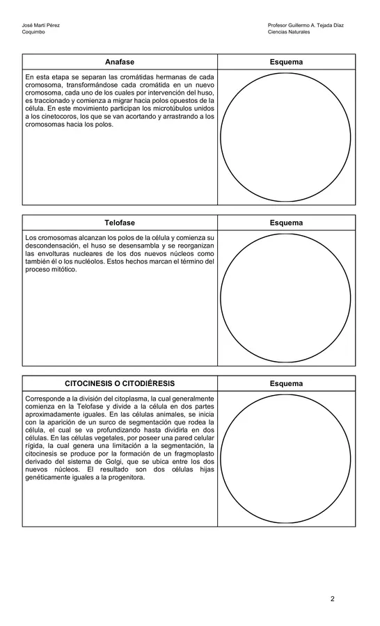 Guía de Biología: Mitosis y División Celular | Esquemas y Comprensión Lectora | Enseñanza Media