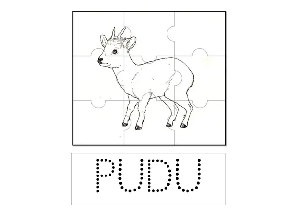 Puzzle de pudú y cóndor