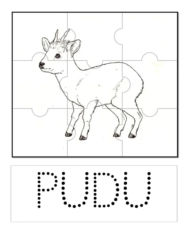 Puzzle de pudú y cóndor