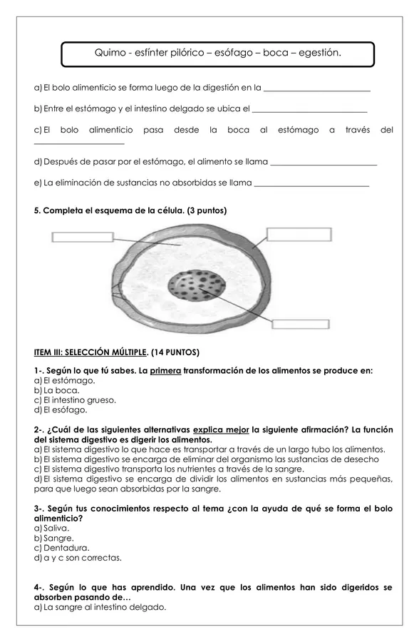 Prueba 5° ciencias - Organización de los seres vivos