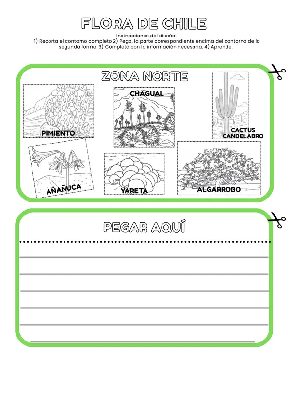 Flipbook "Flora zonas de  Chile"