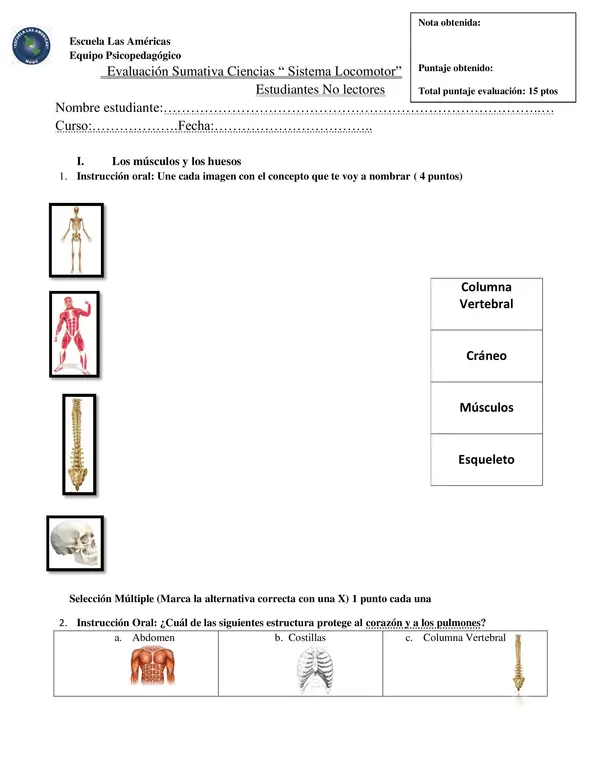 Evaluación Ciencias sistema locomotor 2° básico No lectores