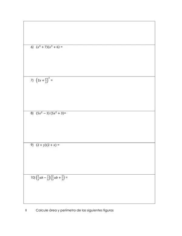 Prueba de Matemática NM1 "Productos Notables y Resolución de Problemas"