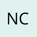 Nelson Castro - @nelson.castro1