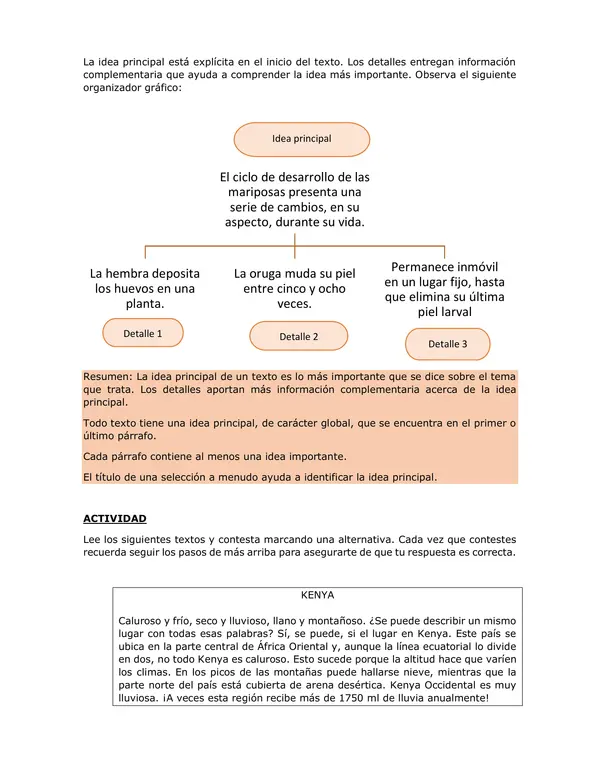 Guía idea principal y detalles