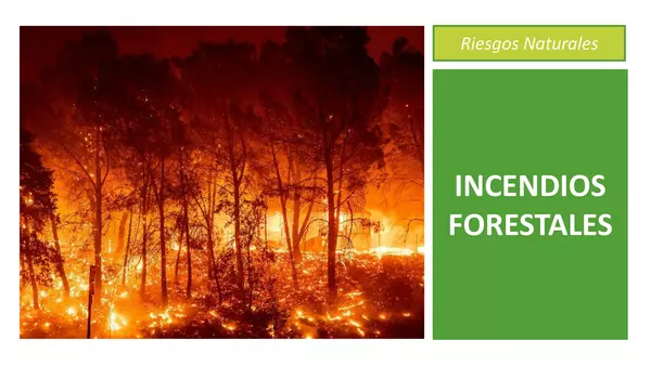 Incendios Forestales - Riesgos Naturales de Chile