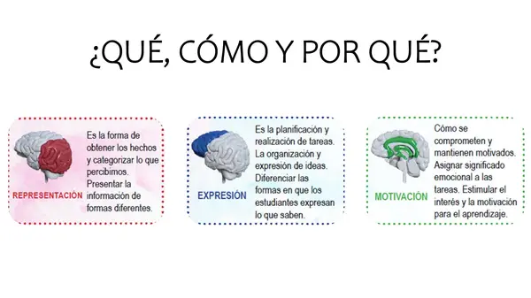 DUA Diseño Universal para el Aprendizaje
