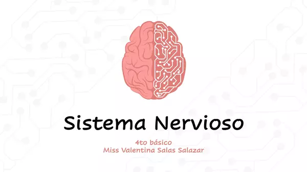 Sistema Nervioso