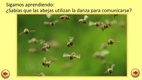 La Abeja Haragana. Clase N°6. Profundización de la lectura