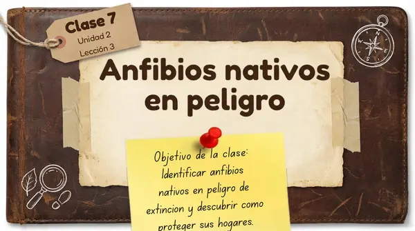 Clase 7 Lección 3 Unidad 2 "Anfibios nativos en peligro" 2° Básico