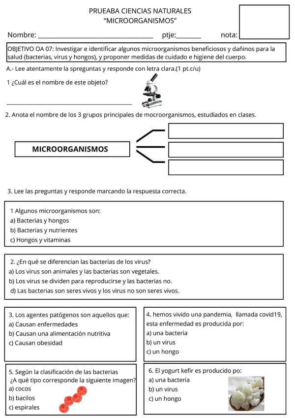 Evaluación Microorganismos Ciencias Naturales