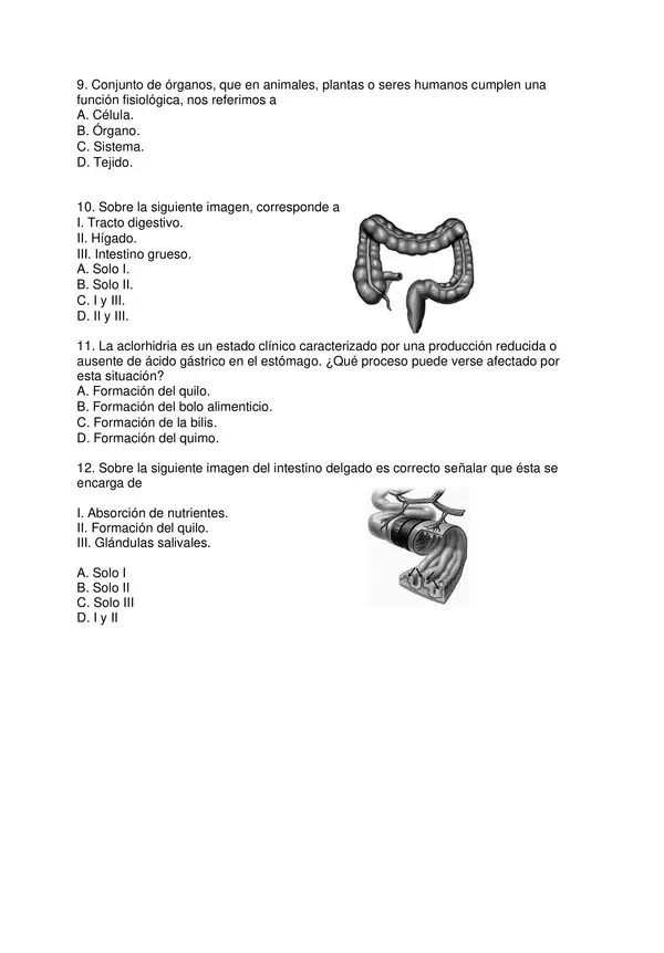 Prueba Diagnostico Ciencias Naturales Sexto Basico Con Soluciones Profesocial 8024