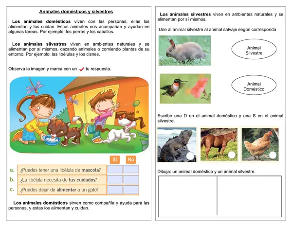 Guía de ciencias 1°año "Animales domésticos y animales silvestres"