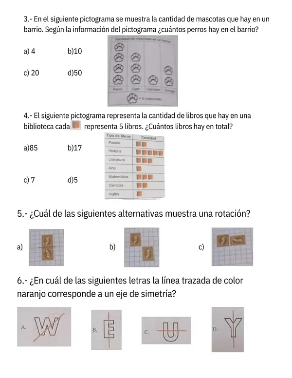 Ensayo Simce matemáticas 