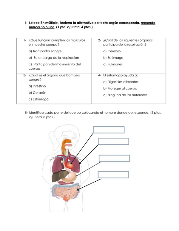 Evaluación Ciencias Naturales