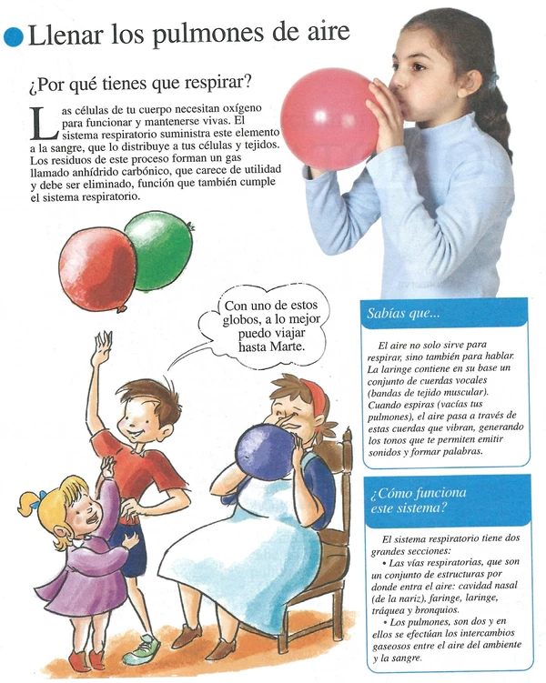 Infografía Papelucho: "La Respiración"