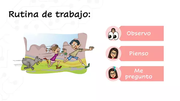 Sistema Nervioso