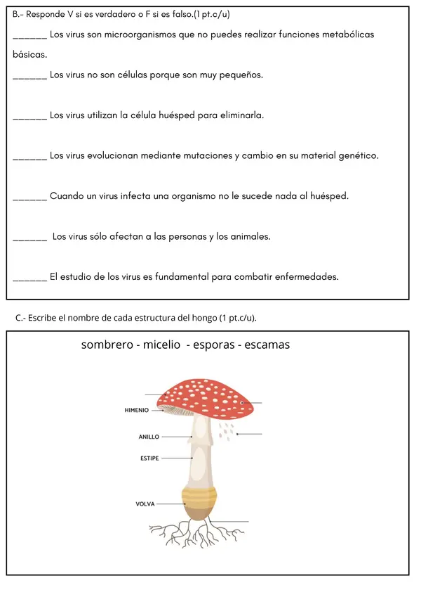 Evaluación Microorganismos Ciencias Naturales