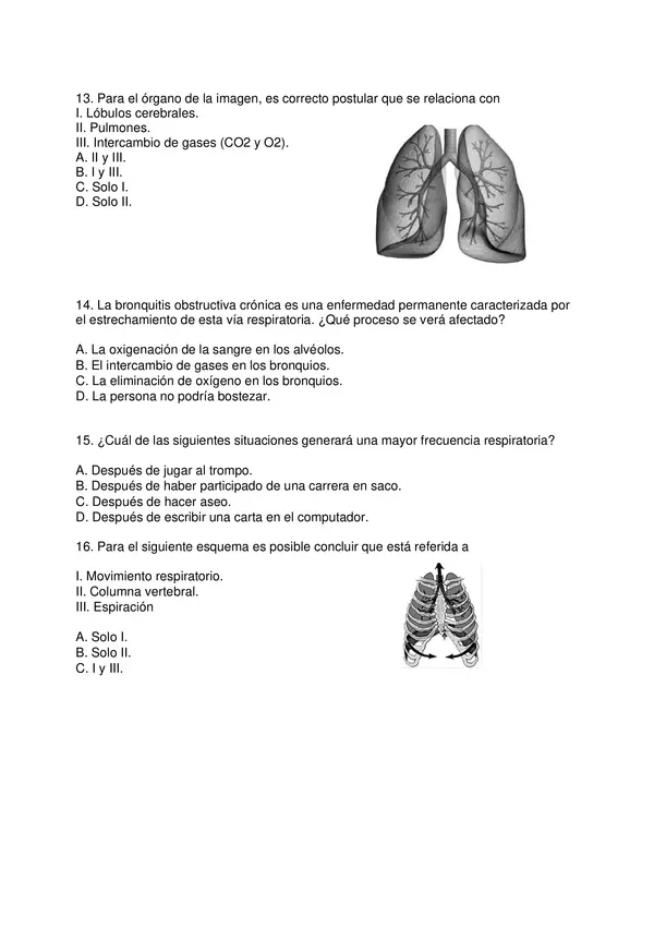 PRUEBA DIAGNOSTICO, CIENCIAS NATURALES, SEXTO BASICO CON SOLUCIONES