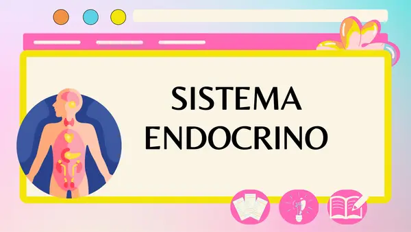 PPT - Sistema endocrino 