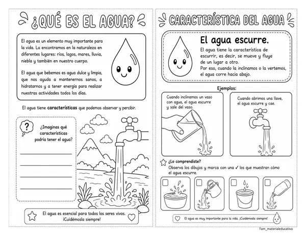 El Agua 2° básico