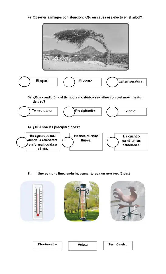 Evaluación "Condiciones del tiempo atmosférico" - 2°Básico