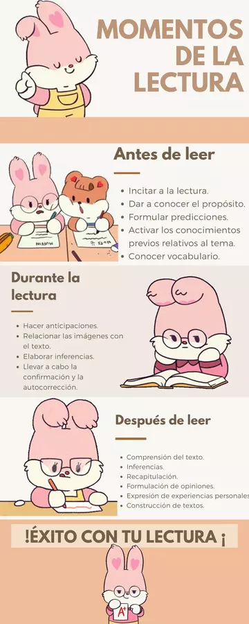 INFOGRAFÍA MOMENTOS DE LA LECTURA