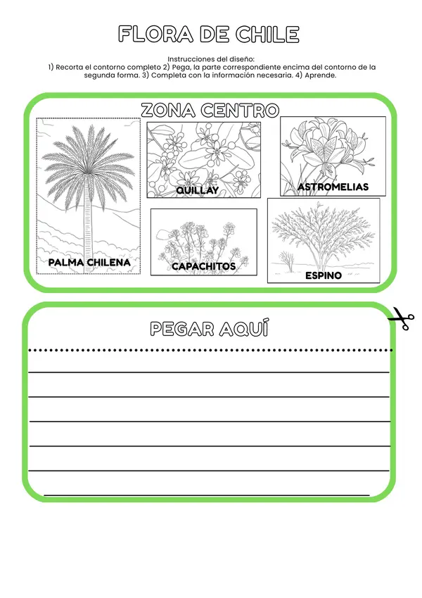 Flipbook "Flora zonas de  Chile"
