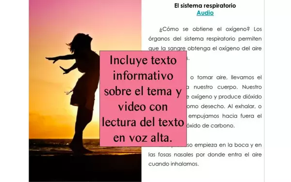 ¿Cuál sistema del cuerpo?