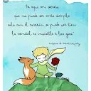 Andrea Gamecho - @andrea.gamecho