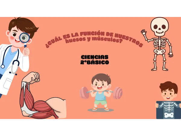 Presentación clase de ciencias "los músculos y los huesos" 2°año 